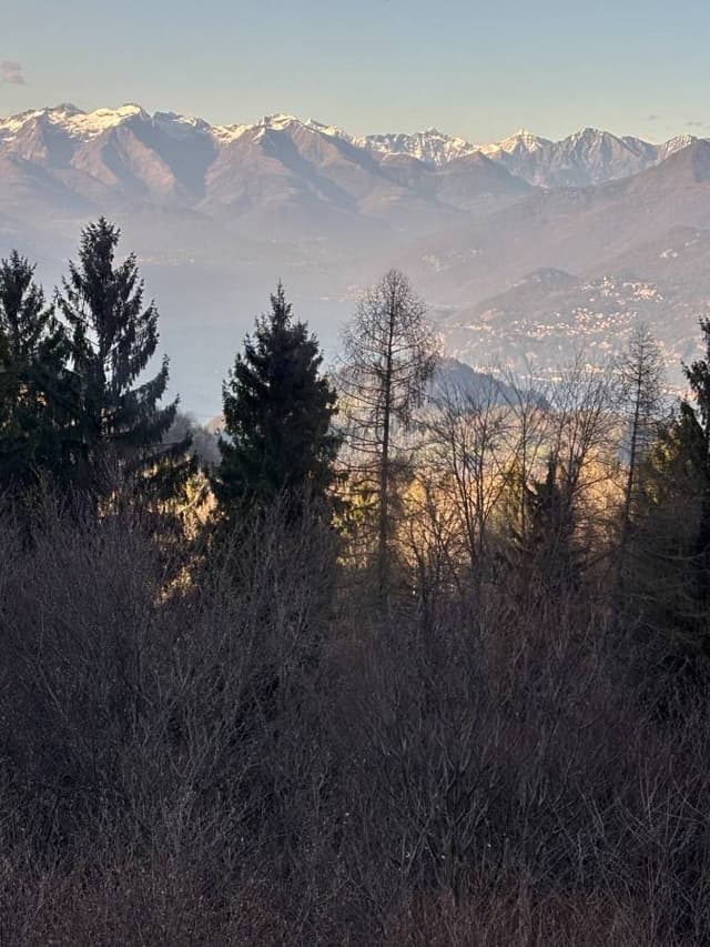 Photo 4 by Ricardo C. (4/12/26)