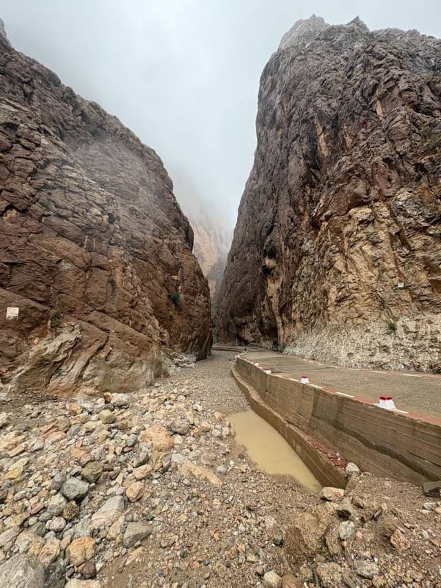 Photo 2 by daniele S. (1/4/26)