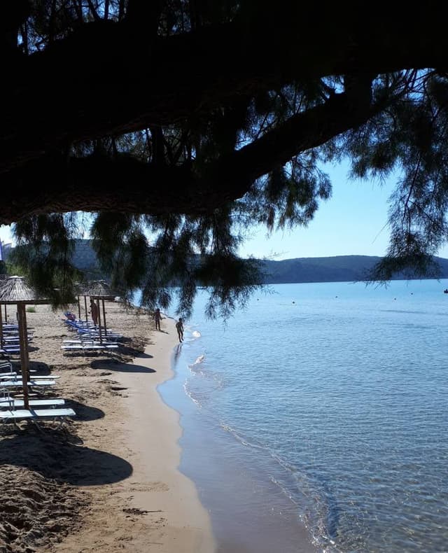 Foto 6 di Dino V. (05/07/22)