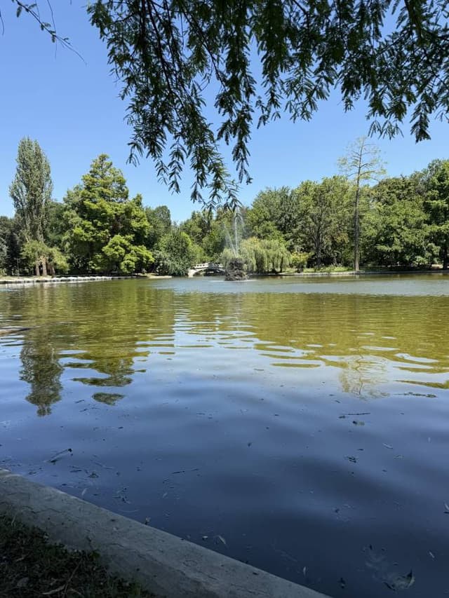 Photo 3 by Maria Manuela D. (7/26/26)