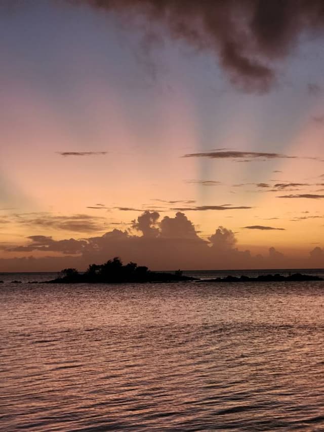 Photo 5 by Les V. about renting a Suzuki S-Presso in Mauritius (1/9/25)