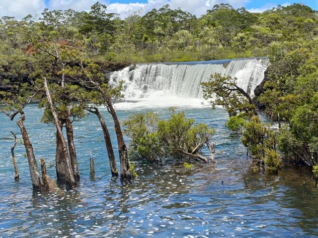 Photo 4 by Martine C. (1/26/24)