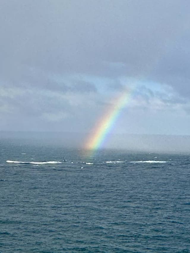 Photo 8 by Cindy O. (6/14/24)