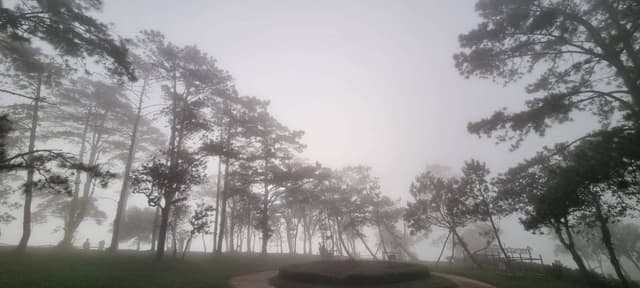 ภาพ 2 โดย kanjana P. เกี่ยวกับการเช่า Nissan Almera ที่ ในประเทศไทย (28/10/2567)