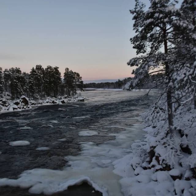 Foto 4 di Stefano R. (26/11/23)