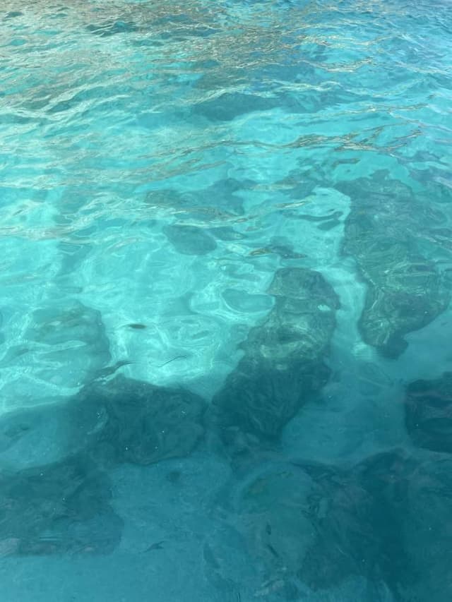 Foto 4 di Nathalie Georgette M P. (13/10/23)