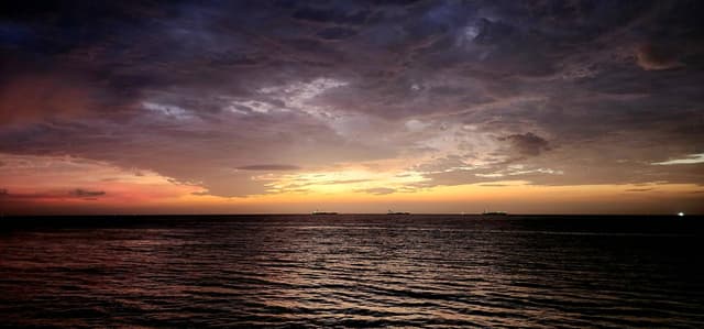 Photo 4 by Yixin L. (7/28/23)