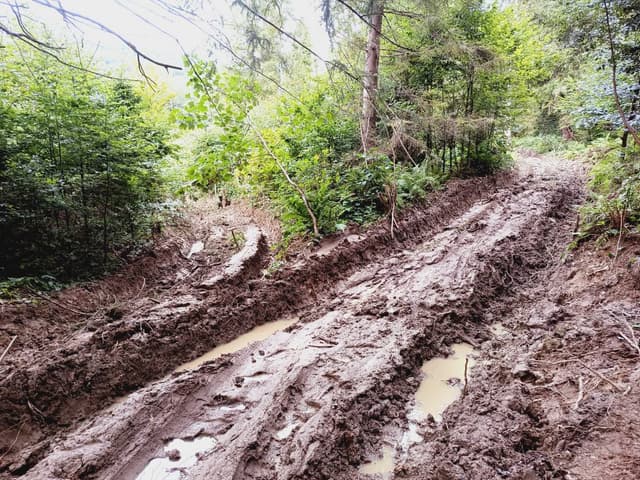 Foto 4 von Horst N. über die Anmietung eines Skoda Kamiq in Krakau (7.9.24)