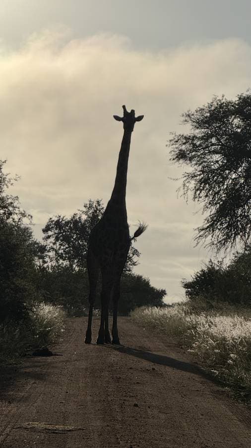 Photo 10 by Faisal A. (4/18/26)