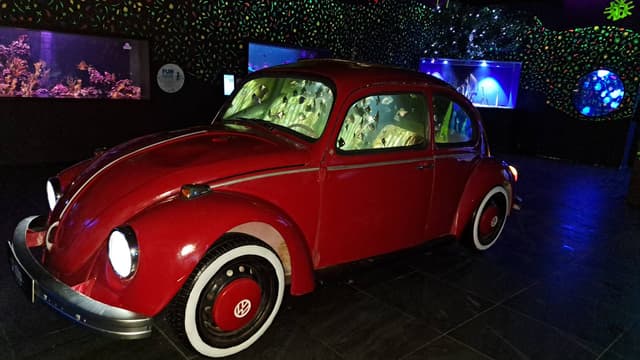 Photo 6 by SARA SARIT F. about renting a Nissan Sunny in the United Arab Emirates (9/23/23)