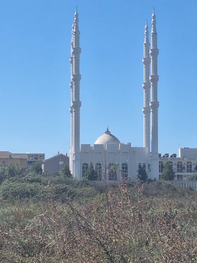 Zsolt Z. 5. számú fényképe (25. 09. 22.)