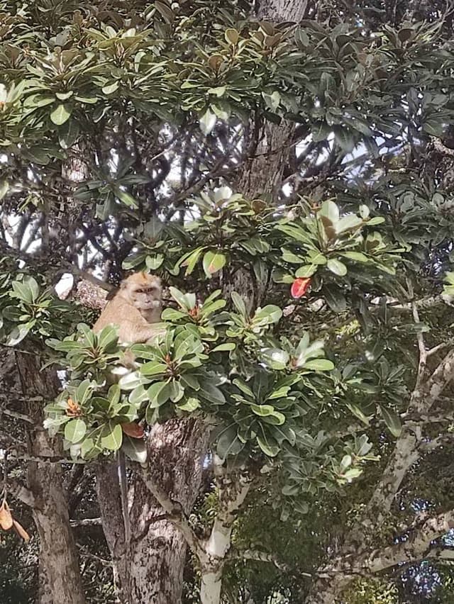 Photo 6 by Marius K. (7/7/25)