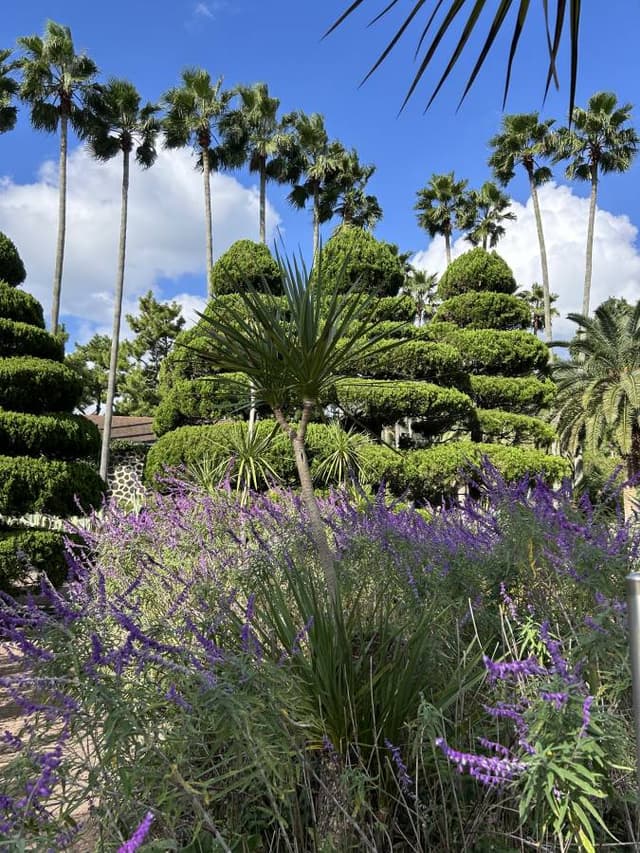 Photo 1 by Josephina G. (10/26/25)