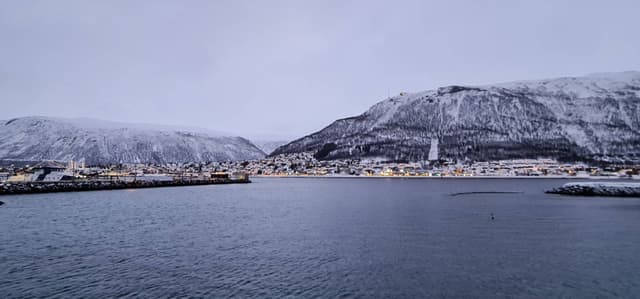 Photo by teik hooi C. (1/2/23)