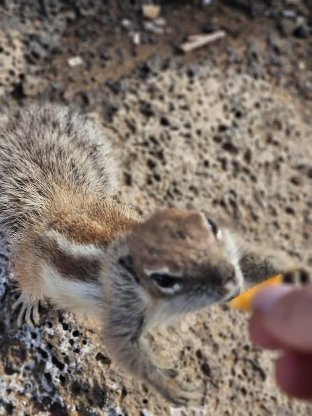 Photo 12 par Fouad A. (06/01/26)