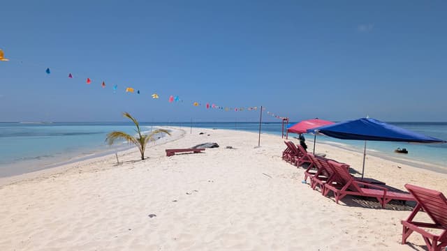 Photo 5 by Cornelis V. (3/29/26)