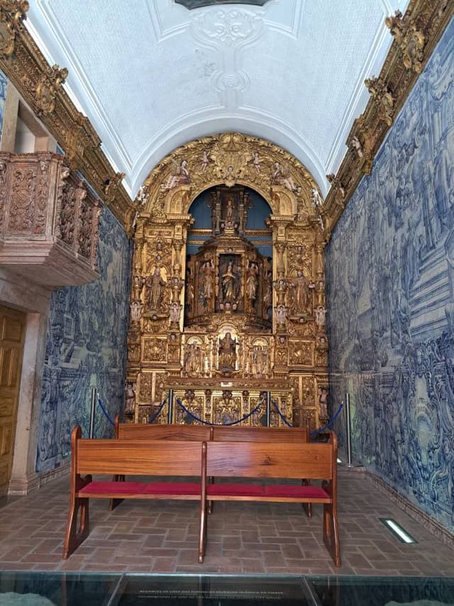 Photo 3 by Mr Shashikant N P. (4/3/26)