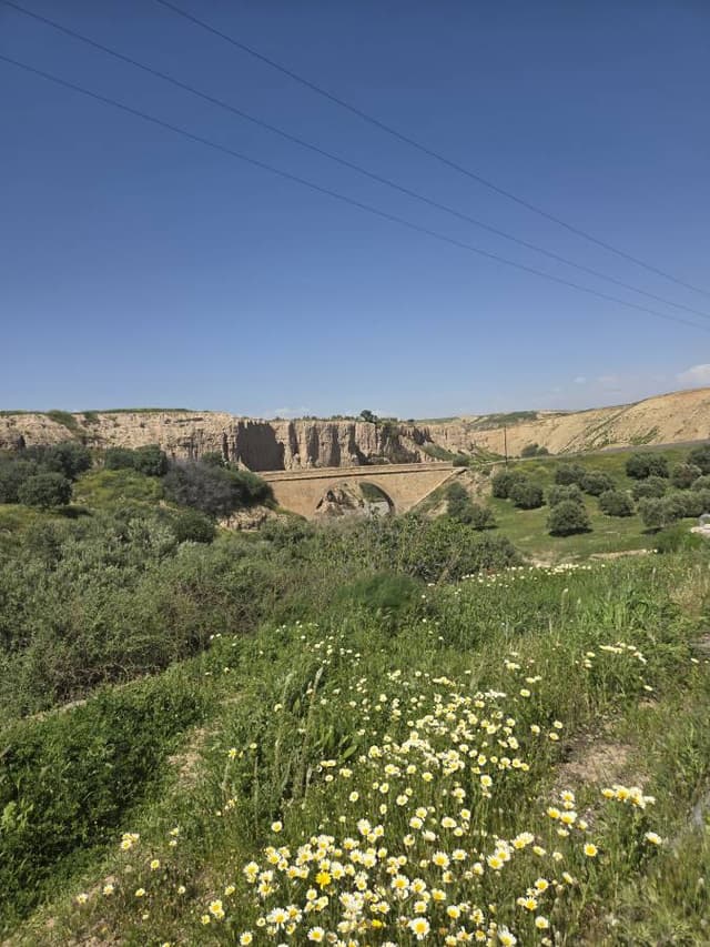 Photo 6 par PIERRE M. (11/04/26)