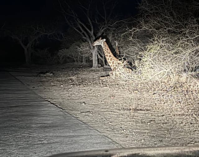 Foto 8 van Patrick P. (9-8-25)