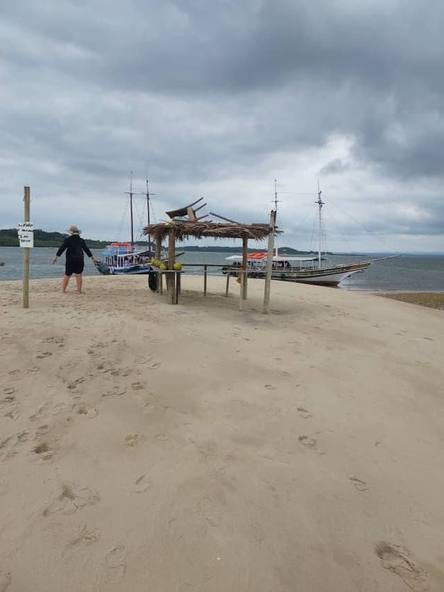 Foto 4 de Paulo M. (11/11/25)