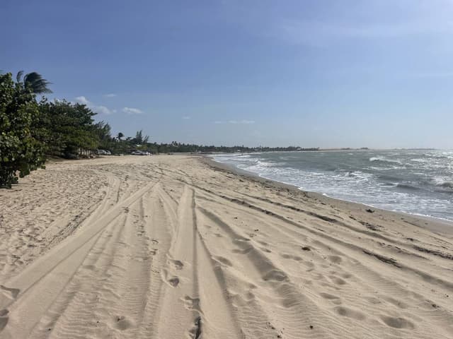 Photo 3 by Amber V. (10/16/24)