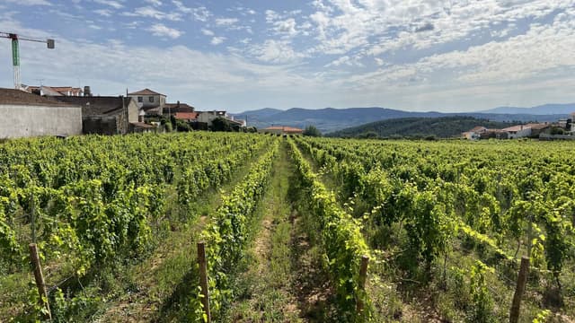 Photo 1 by Jarle A. (8/10/23)