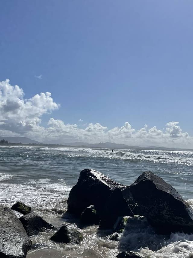 Photo 9 by George B. (5/19/25)