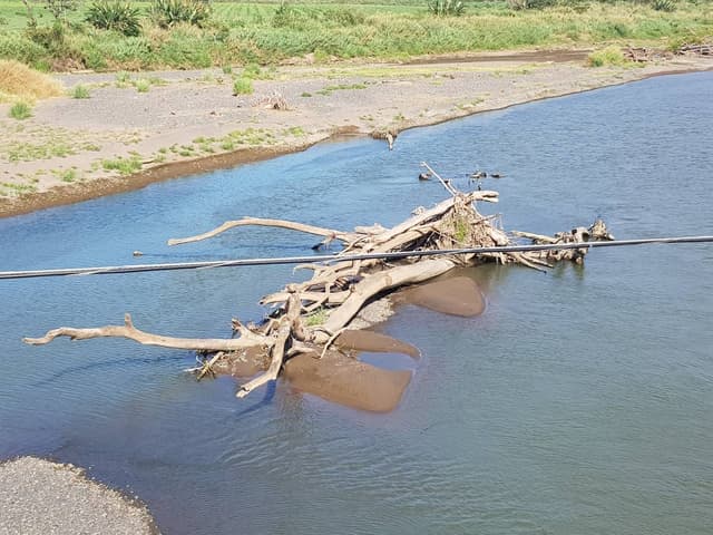 Foto 3 von Bruno B. (4.3.23)