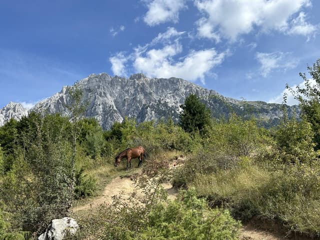 Photo 8 par THIERRY M. (09/09/25)