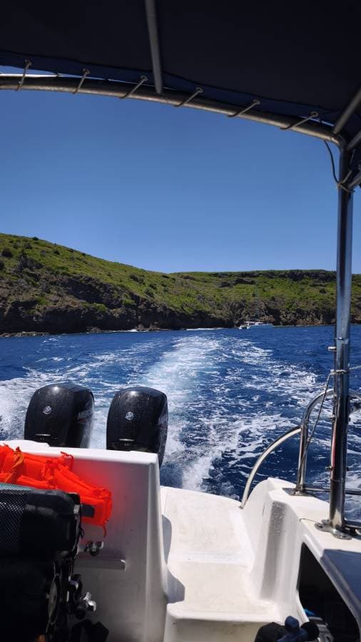 Foto 3 von Guenter H. (27.10.25)