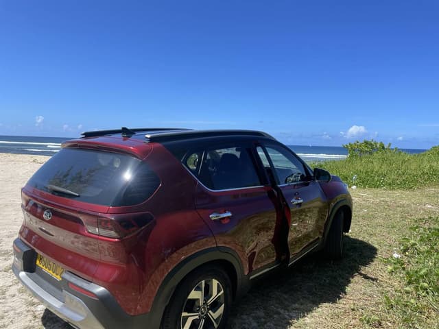 Photo 2 by Anny G. (1/25/25)