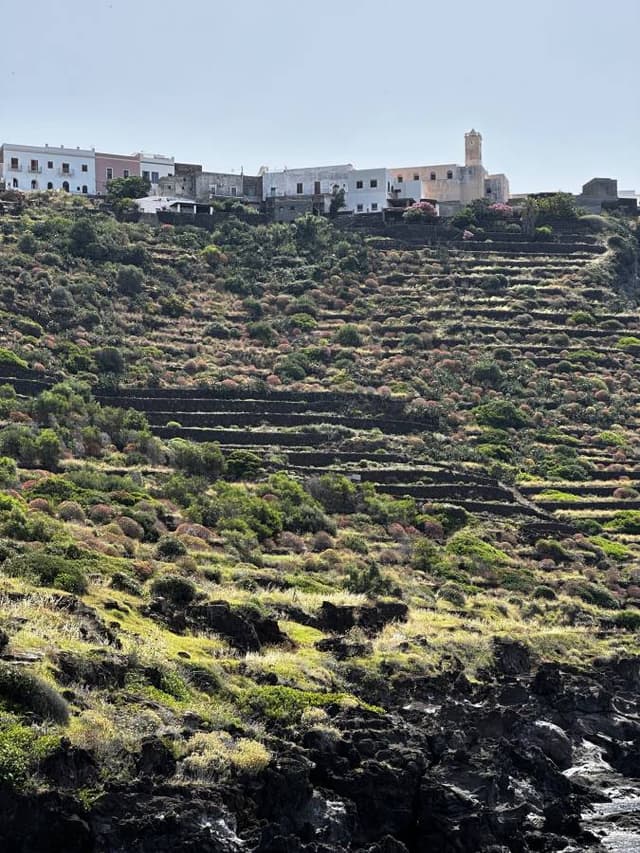 Billede 3 af Tom Ferdinand J. om at leje en Fiat Panda i Pantelleria (6/24/23)