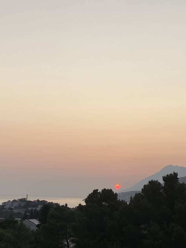 Фото от Vadim B. (21.06.25)