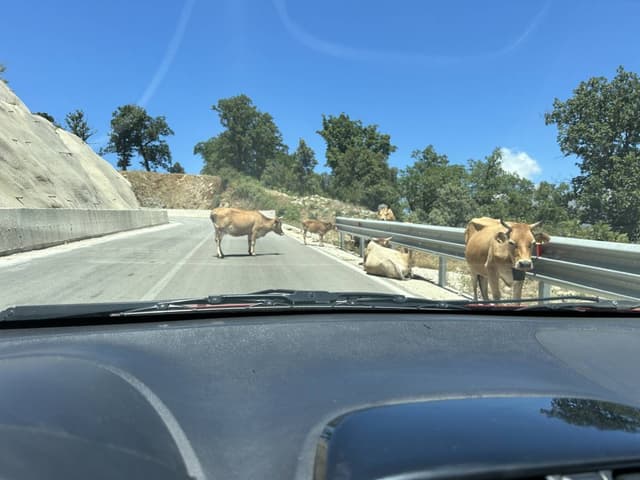 Photo 6 par Morad K. (03/07/24)