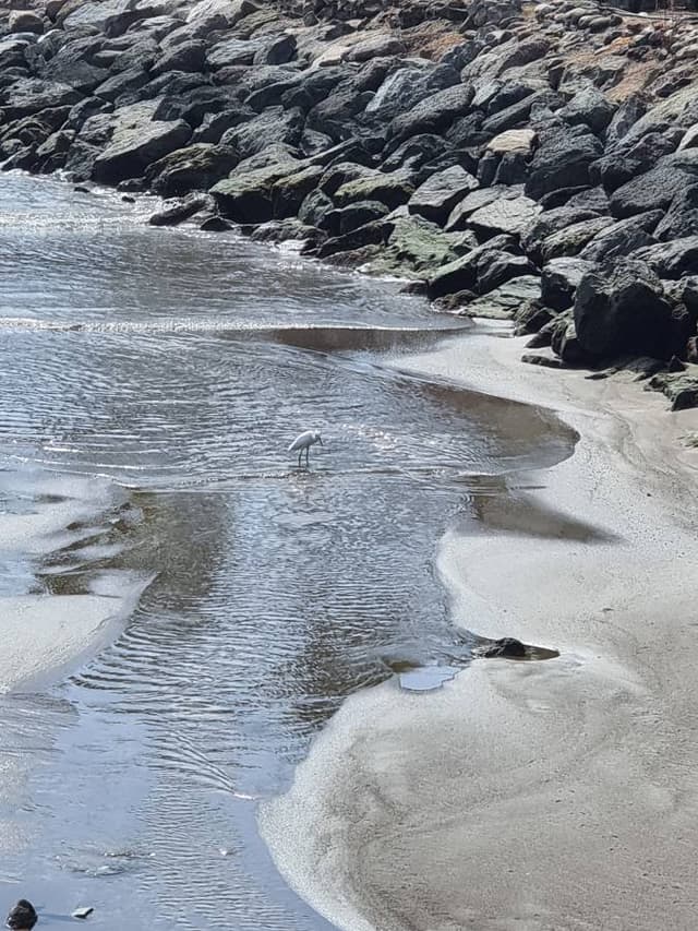 Photo 4 by Boyko K. (2/28/26)