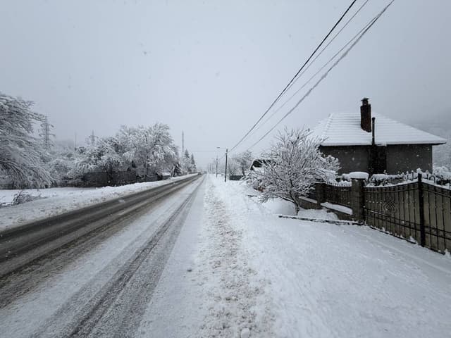 Photo 3 by VASILE IOAN M. (1/7/26)