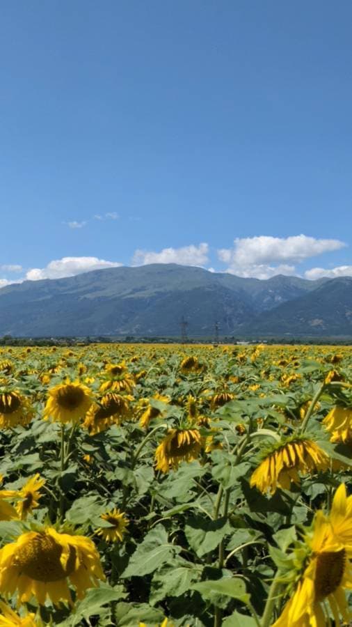 Photo 3 by Gail T. about renting a Peugeot 208 in Bulgaria (7/25/23)