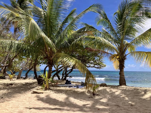 Photo 6 par Pierre F. (07/04/26)