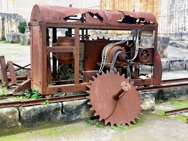 Foto 8 de Nazario S. (25/3/26)