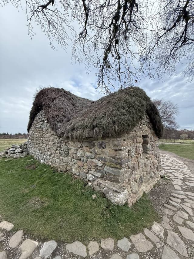 Photo 6 by Gyorgy H. (4/3/26)