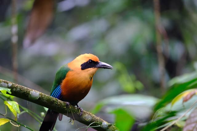 Foto 3 di Massimiliano C. (07/01/26)