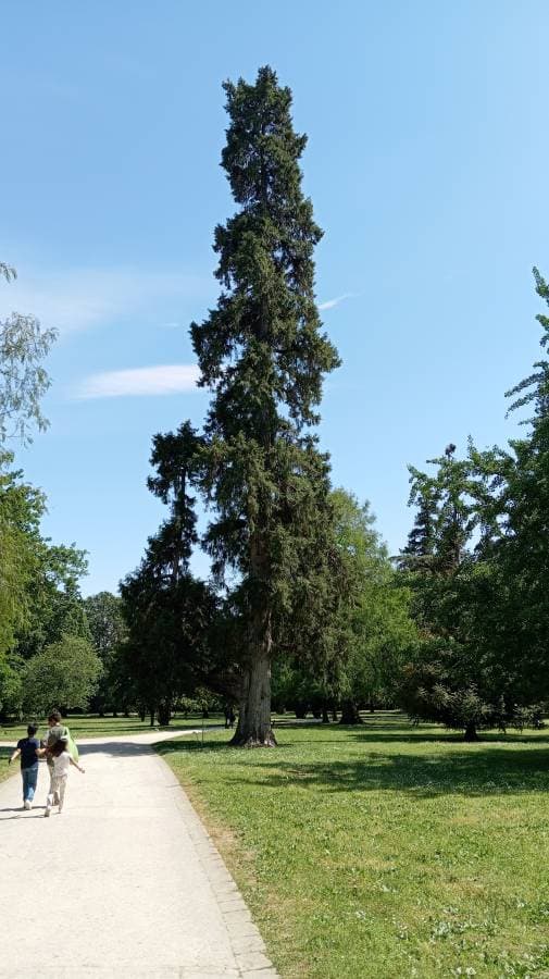 Foto 5 di carlo riccardo sberna S. (01/05/26)