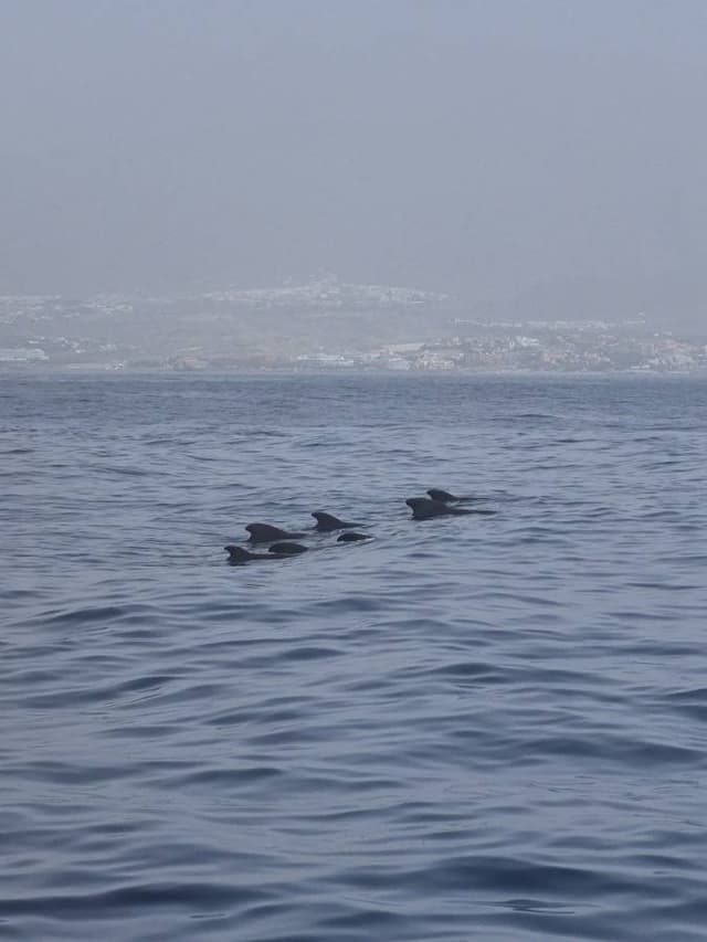 Photo 3 by David K. about hiring a Kia Picanto at Tenerife Airport South (16/03/26)