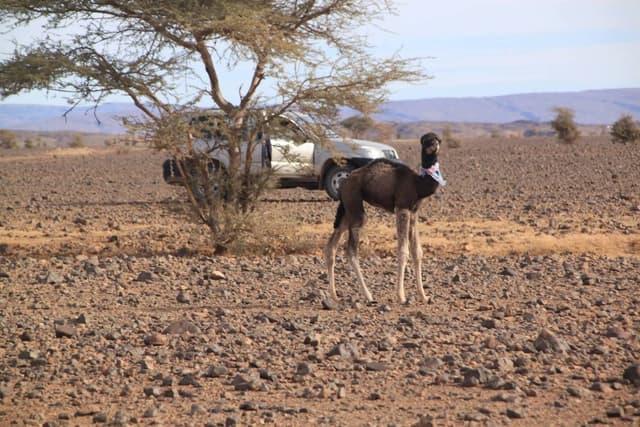 Photo 14 par Gilbert C. (28/01/26)