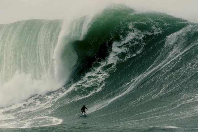 Foto de Joao Fabio P. (11/12/25)