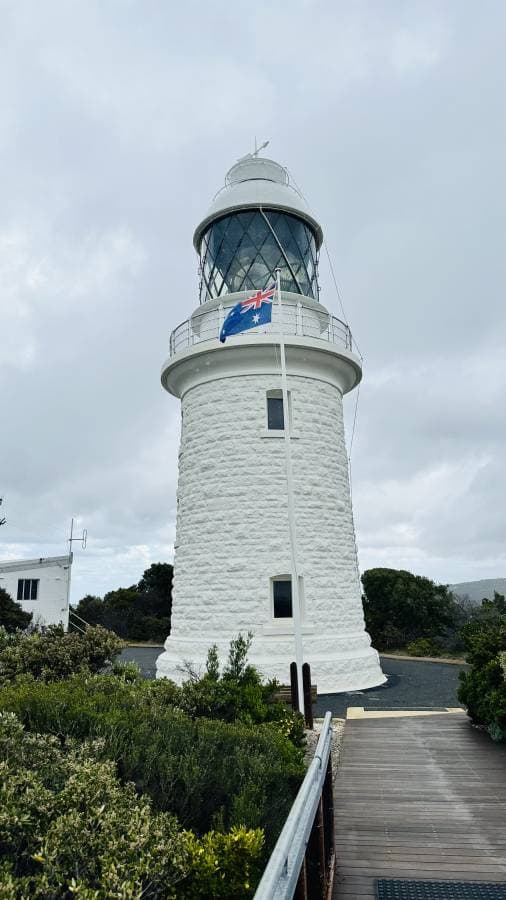 Photo 8 by Soma S. (10/31/25)