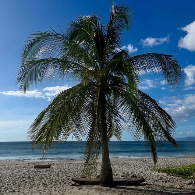 Photo by Leif Goran A. about renting a Nissan X-Trail in Liberia (12/29/22)