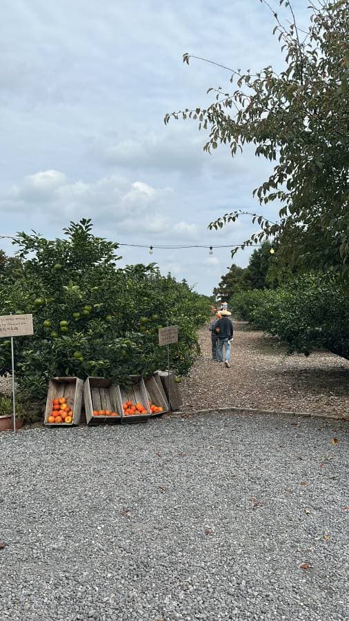 Photo by aaron W. (11/8/25)