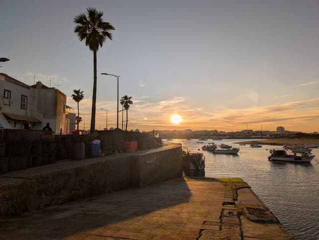 Photo 3 by Eric S. (3/30/26)