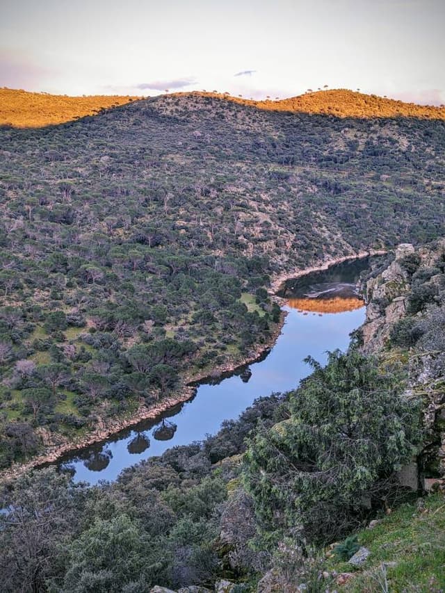 Фото 6 от Alexey A. об аренде Volkswagen Taigo в Мадриде (03.04.24)